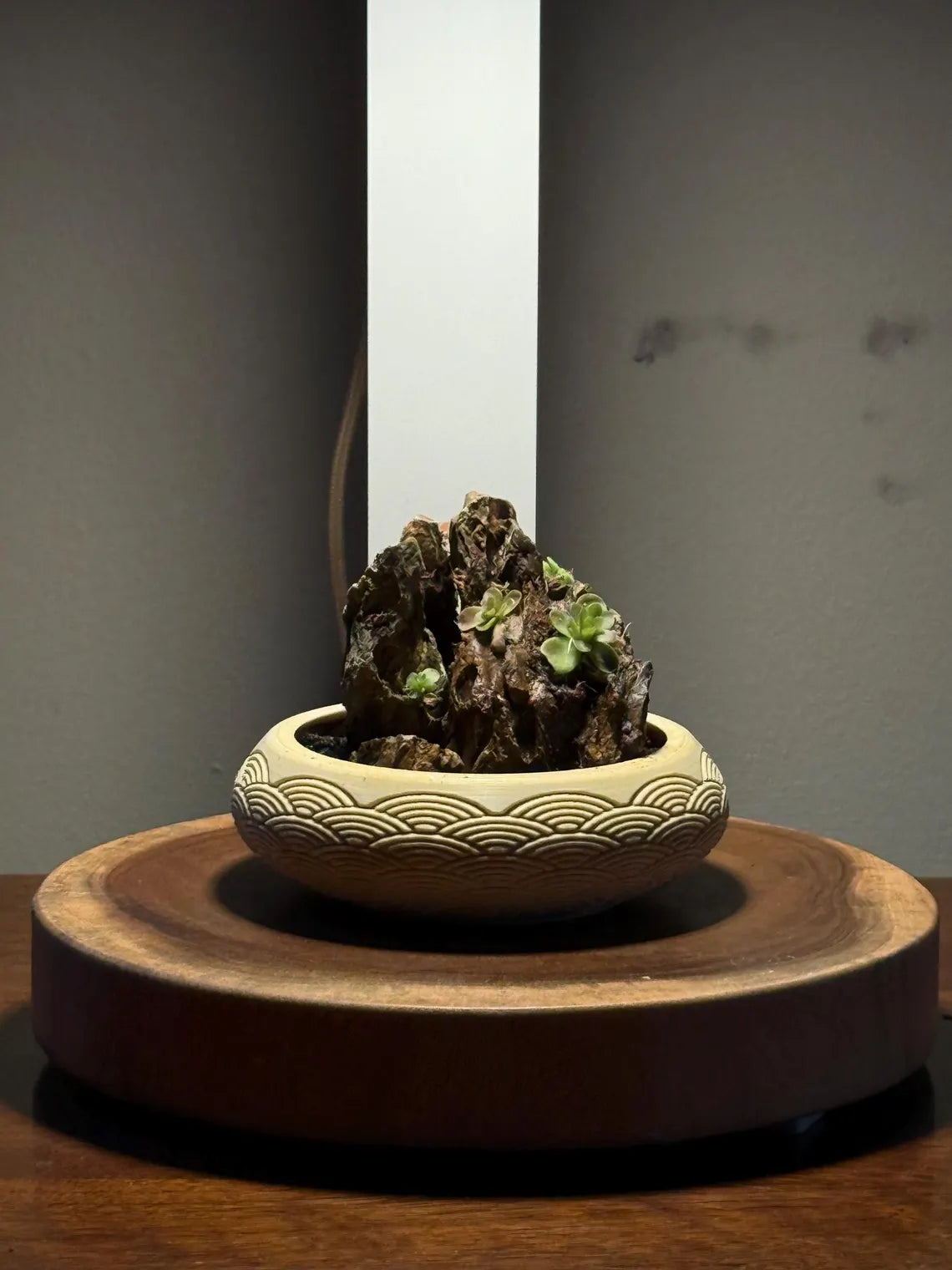 Mini Rock Display