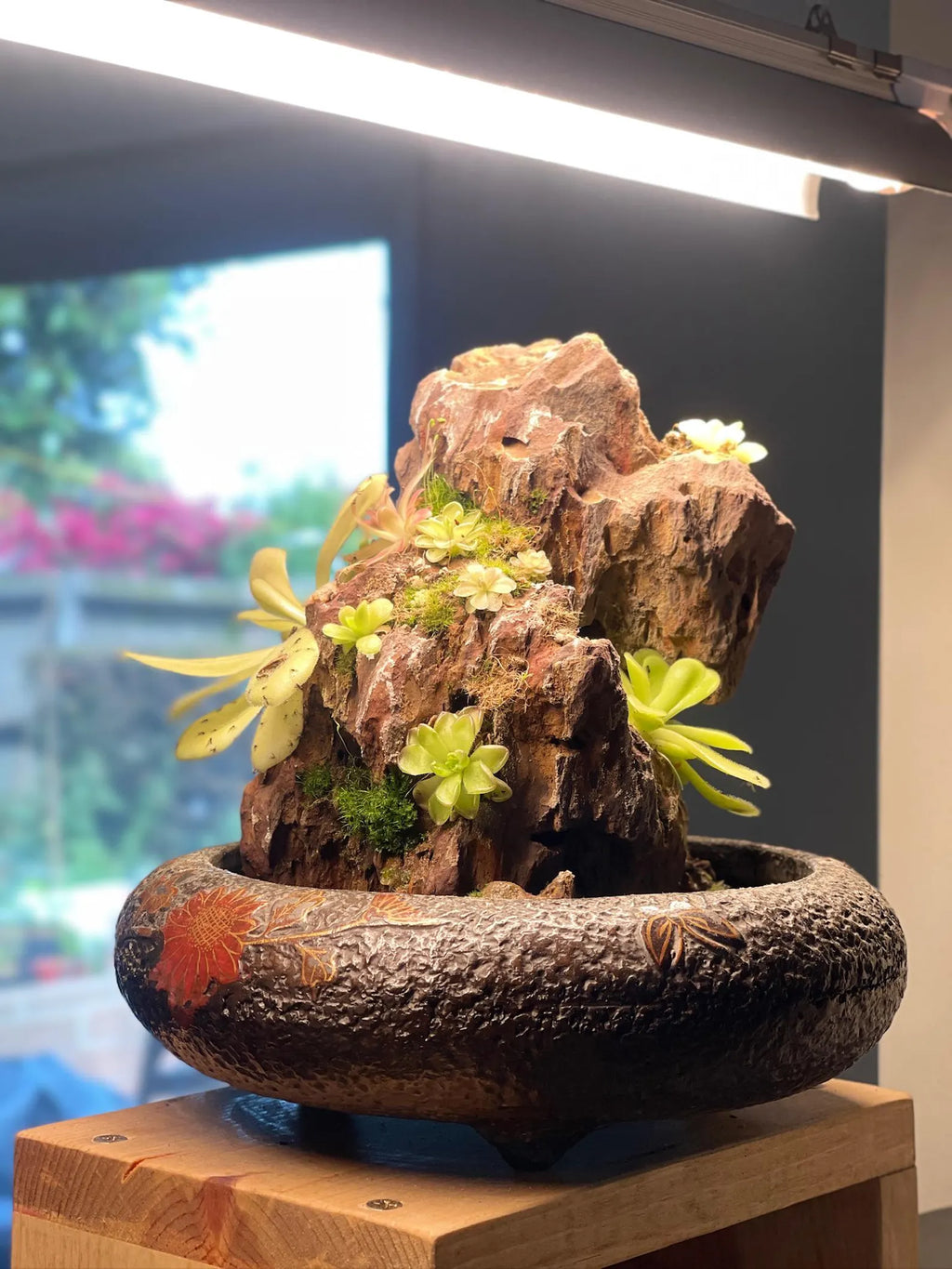 Ishi-Ito Rock Display