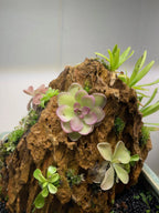 Ishi-Ito Rock Display