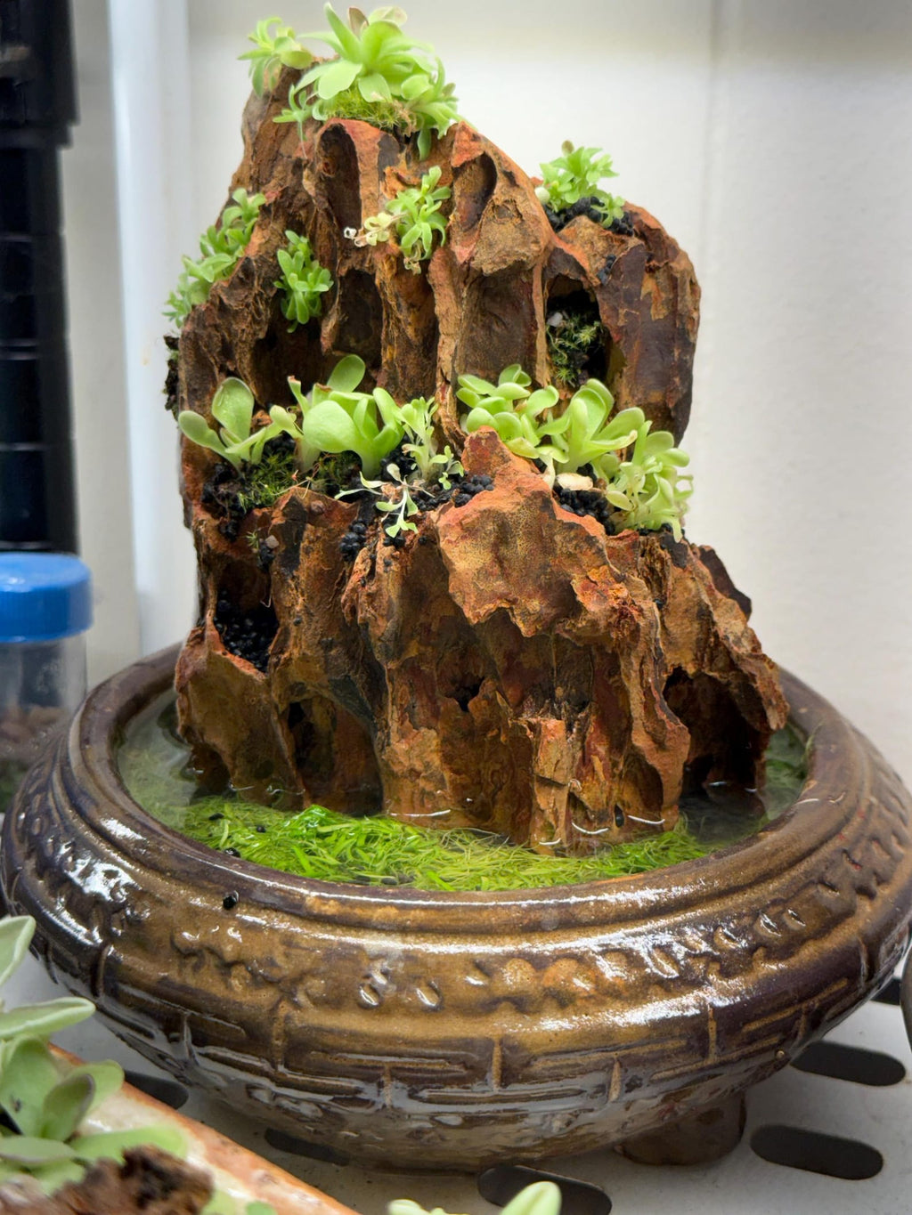 Ishi-Ito Rock Display