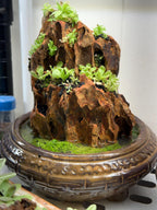 Ishi-Ito Rock Display