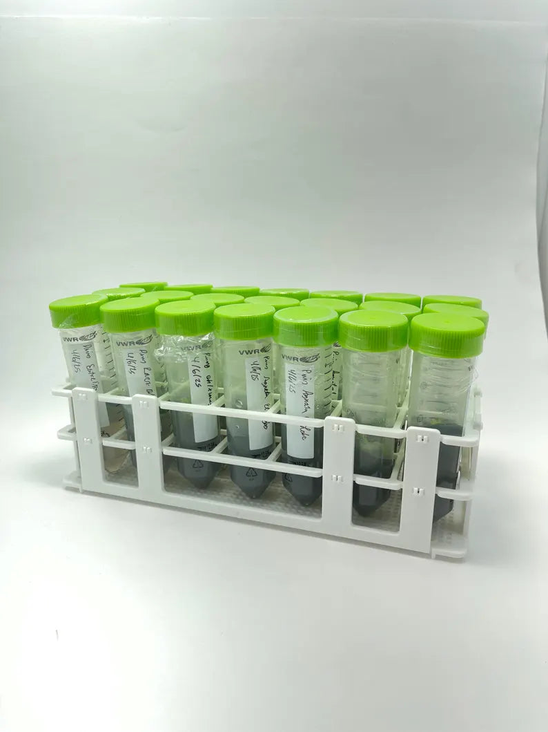 Pinguicula Tissue Culture Starter Culture