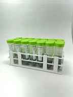 Pinguicula Tissue Culture Starter Culture