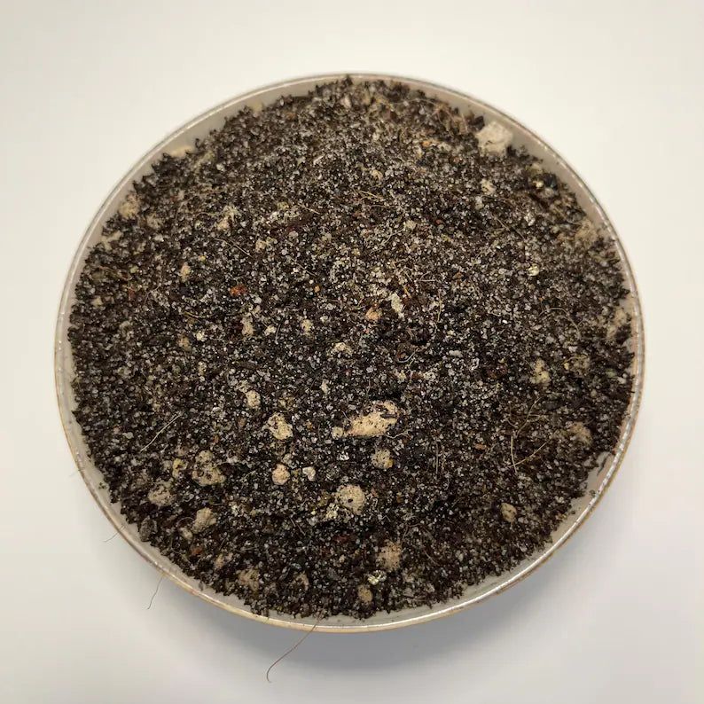 Mexican Pinguicula Soil Mix