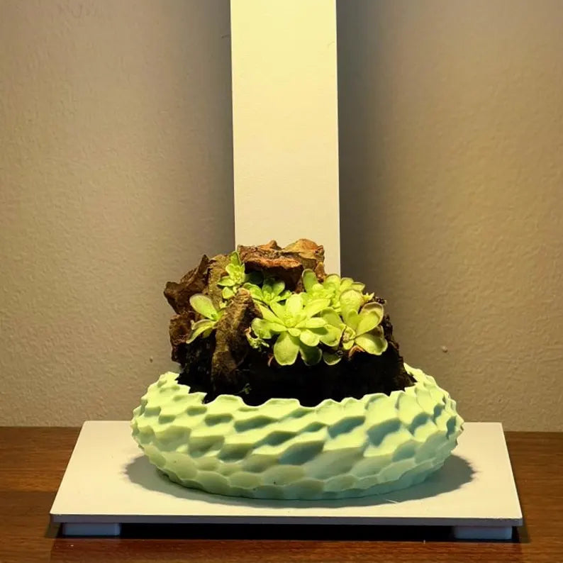Mini Rock Display