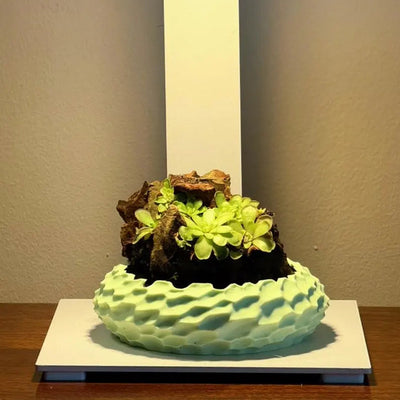 Mini Rock Display