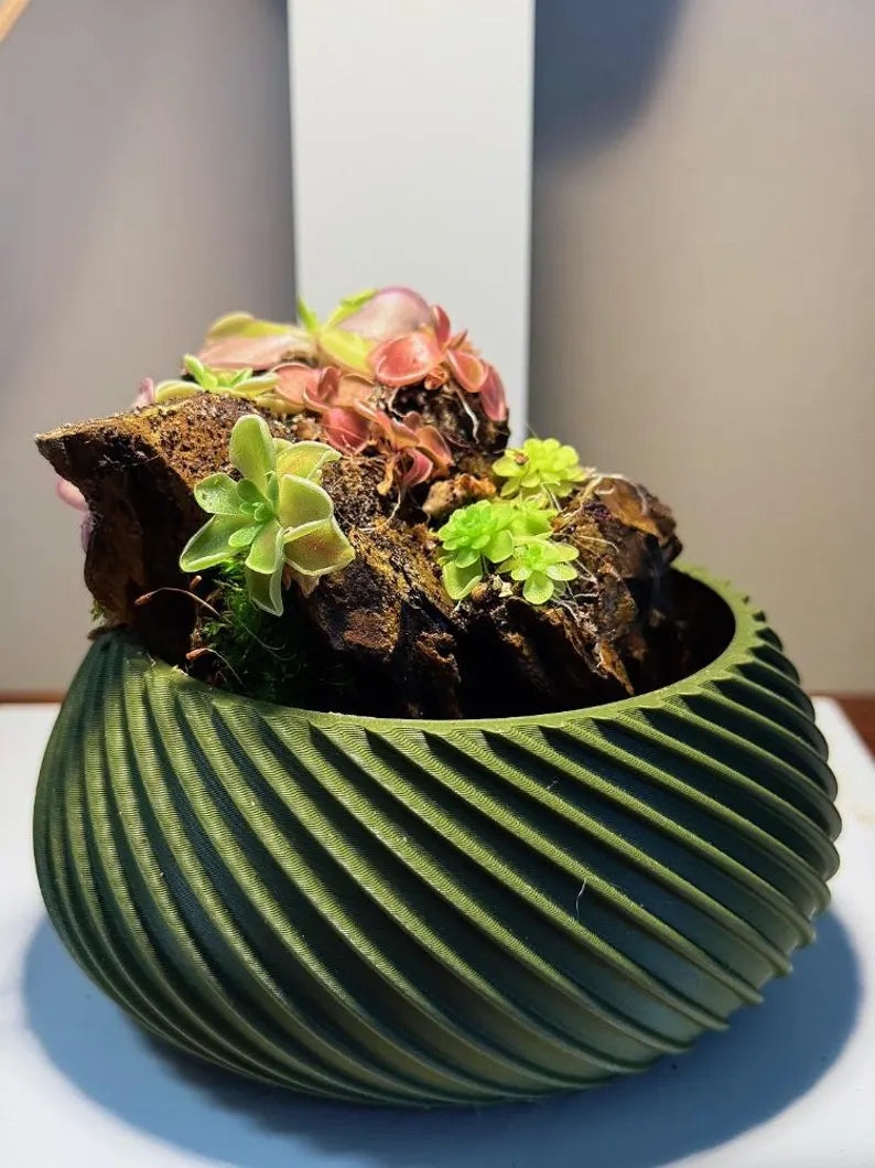 Mini Rock Display