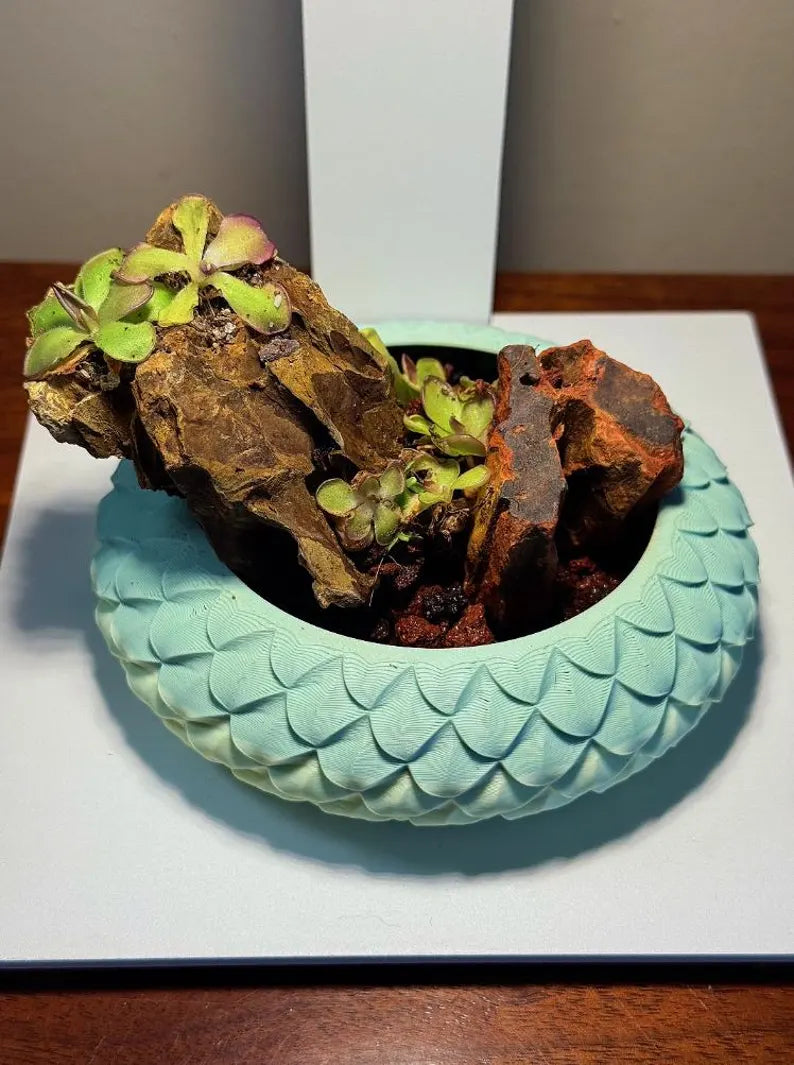 Mini Rock Display