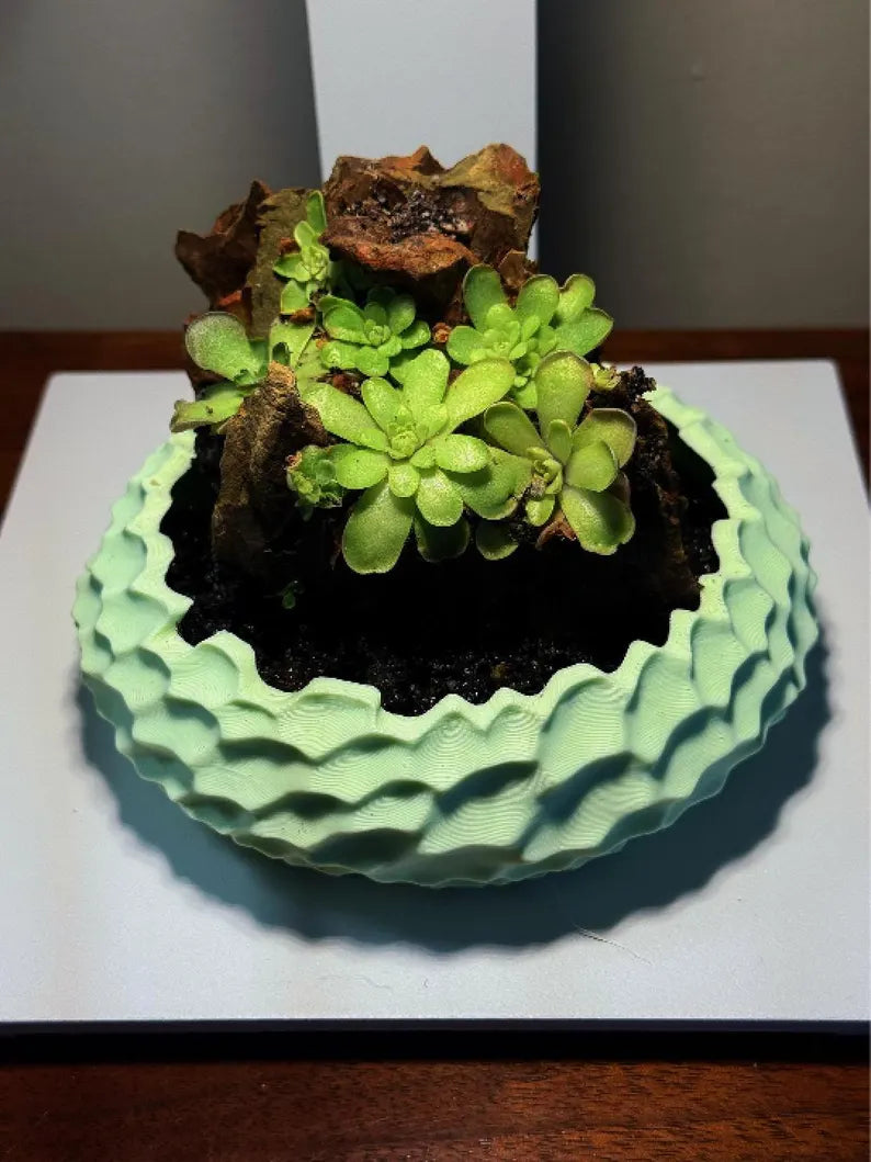 Mini Rock Display