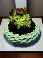 Mini Rock Display
