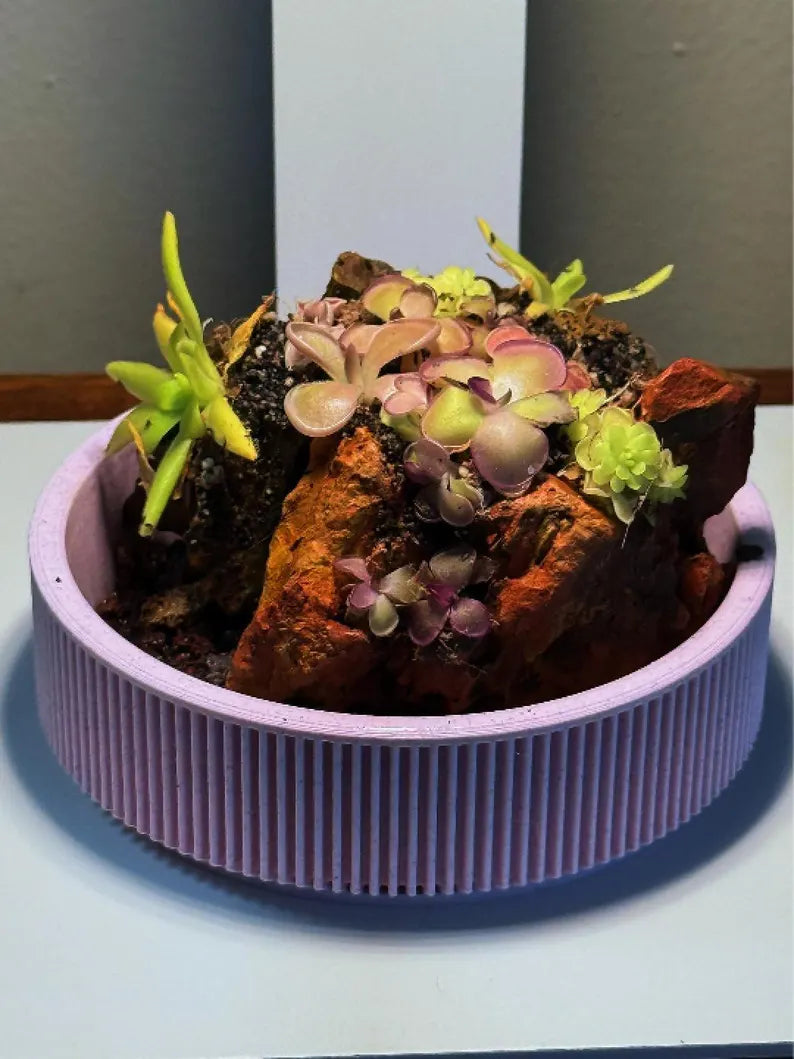 Mini Rock Display