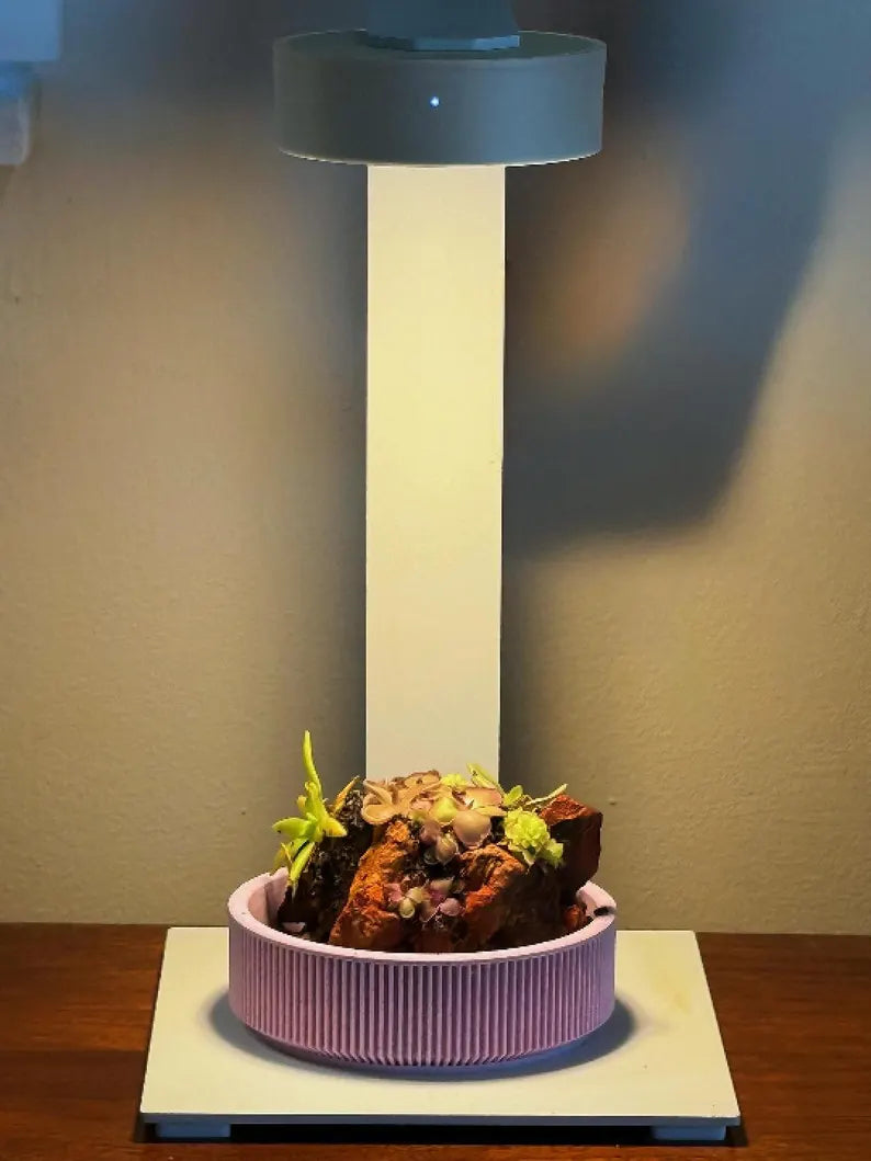 Mini Rock Display