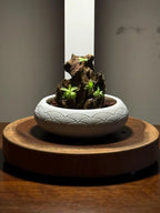 Mini Rock Display