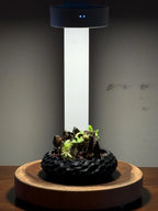 Mini Rock Display