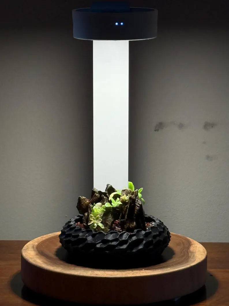 Mini Rock Display