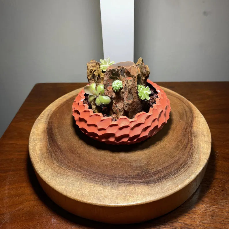 Mini Rock Display