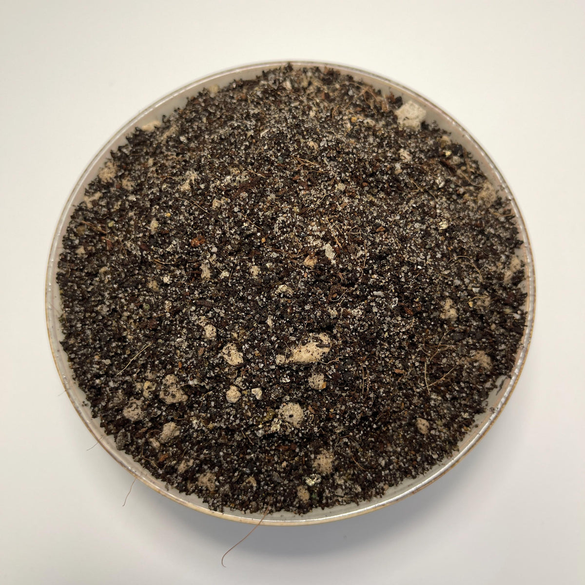 Mexican Pinguicula Soil Mix