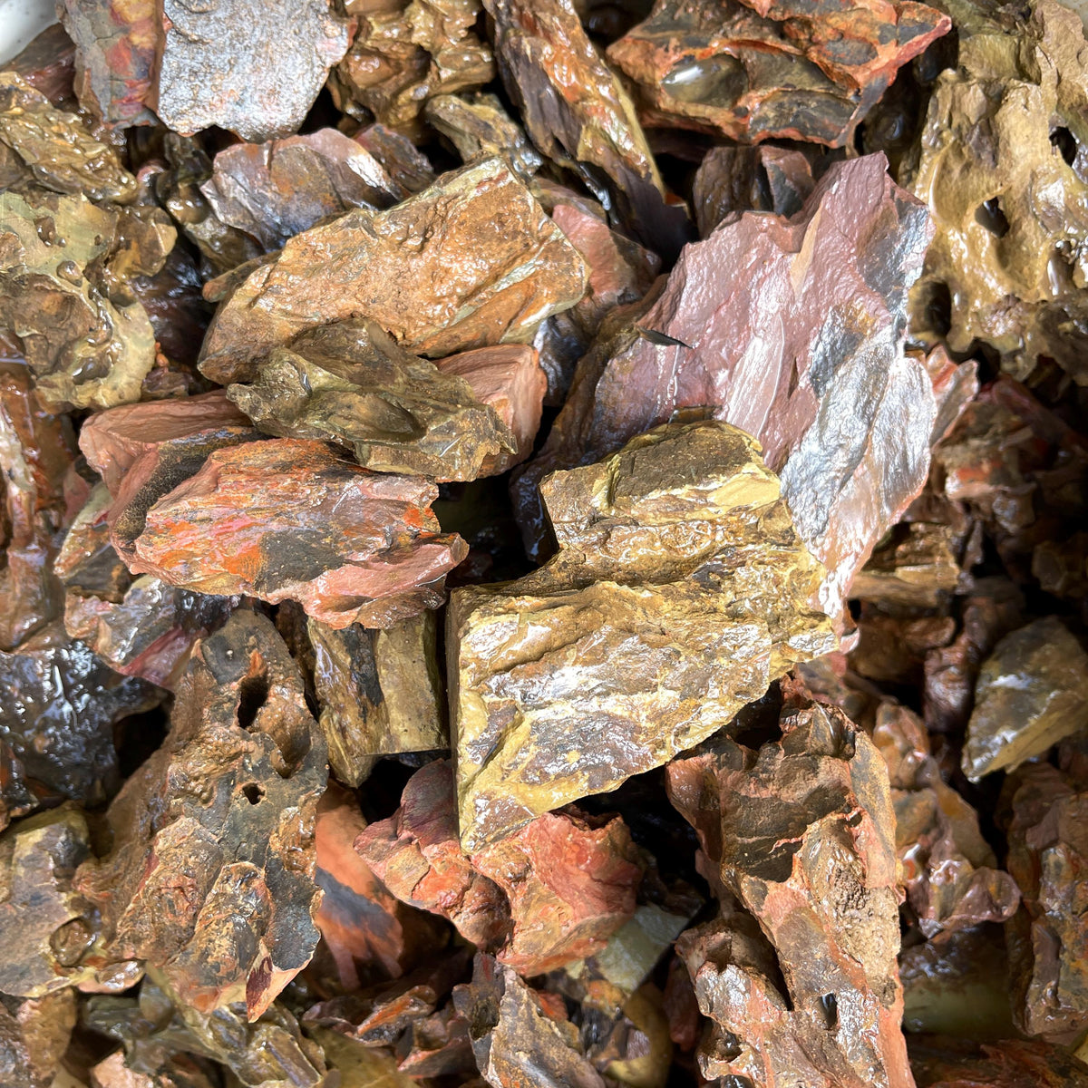 Dragonstone Accent Stones | Natural Decor for Terrariums, Aquariums, Succulents, Carnivorous Plants, & Bonsai