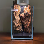 Nano Waterfall Paludarium | Live Moss Terrarium | Dragonstone | UNS 16T