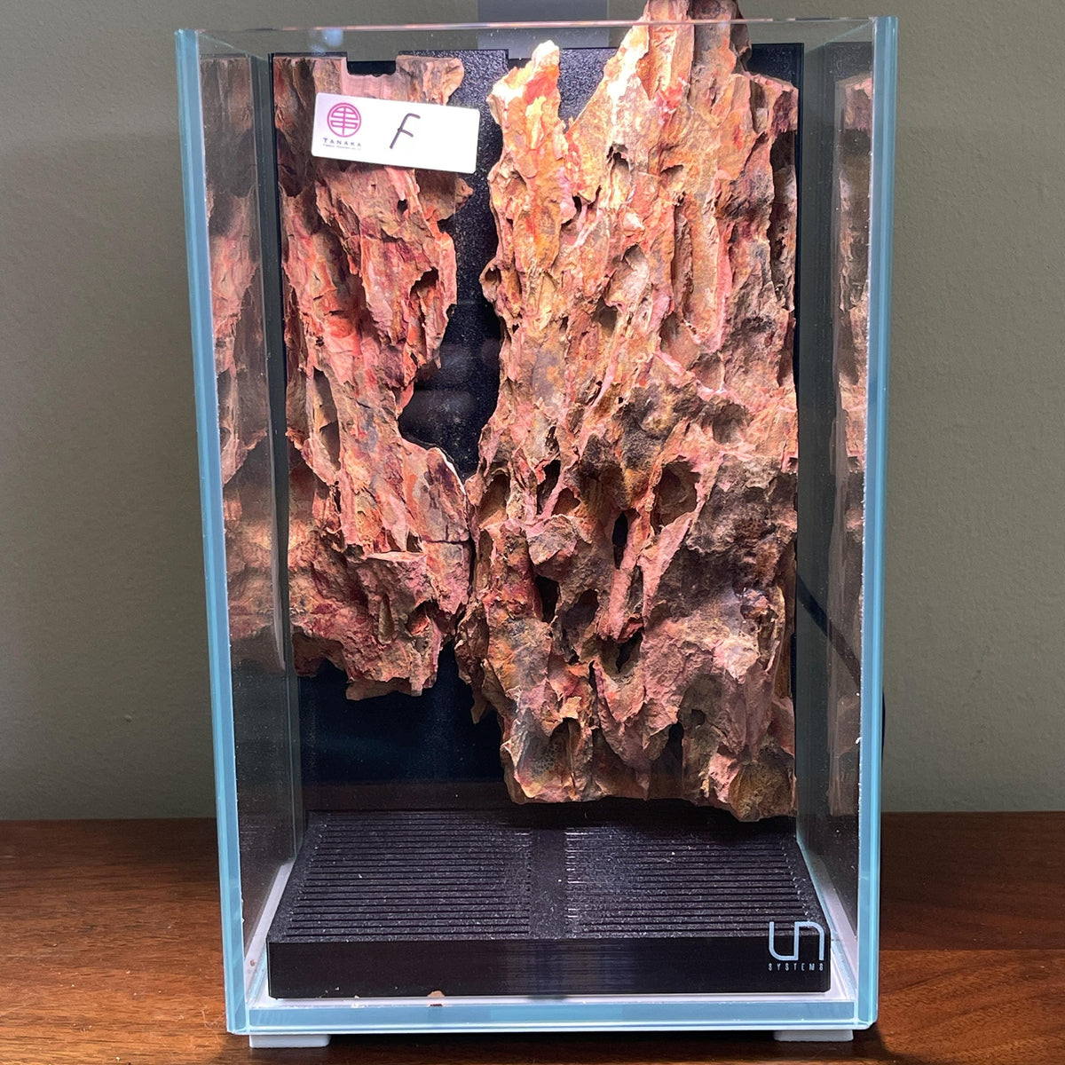 Nano Waterfall Paludarium | Live Moss Terrarium | Dragonstone | UNS 16T