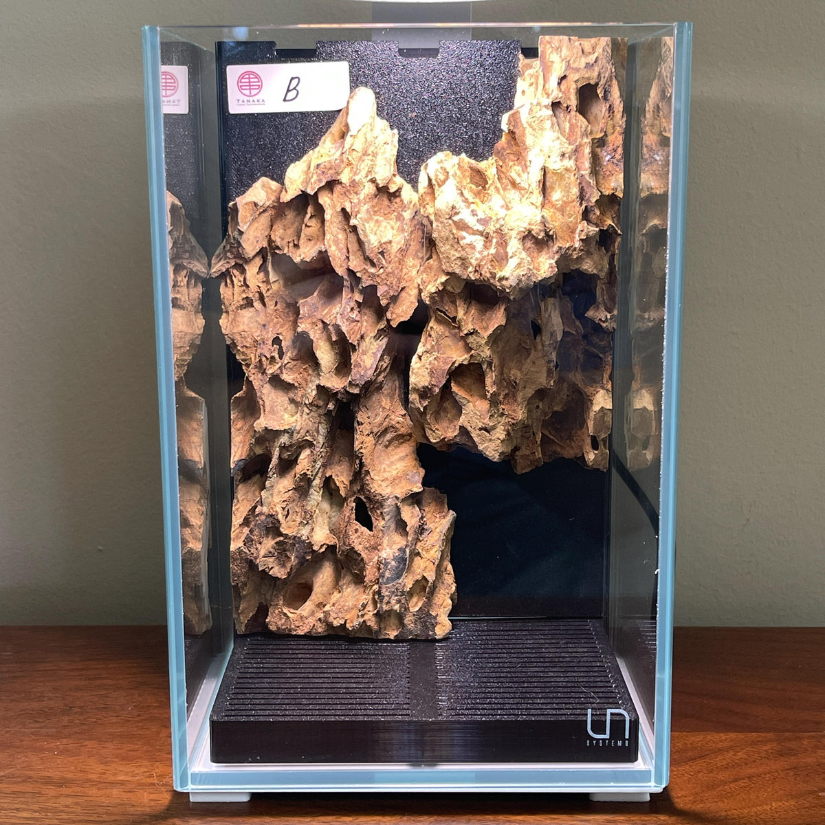 Nano Waterfall Paludarium | Live Moss Terrarium | Dragonstone | UNS 16T
