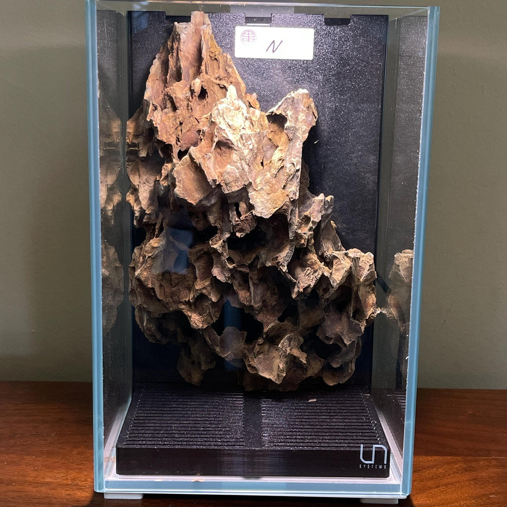 Nano Waterfall Paludarium | Live Moss Terrarium | Dragonstone | UNS 16T