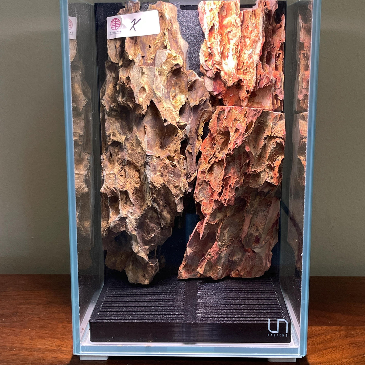 Nano Waterfall Paludarium | Live Moss Terrarium | Dragonstone | UNS 16T