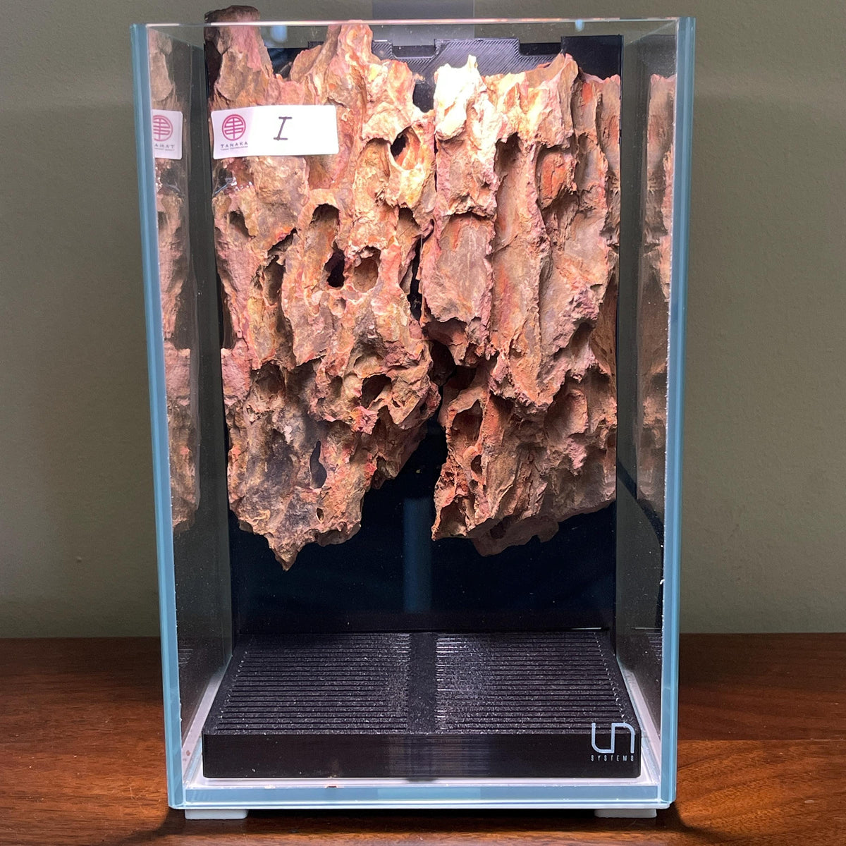 Nano Waterfall Paludarium | Live Moss Terrarium | Dragonstone | UNS 16T
