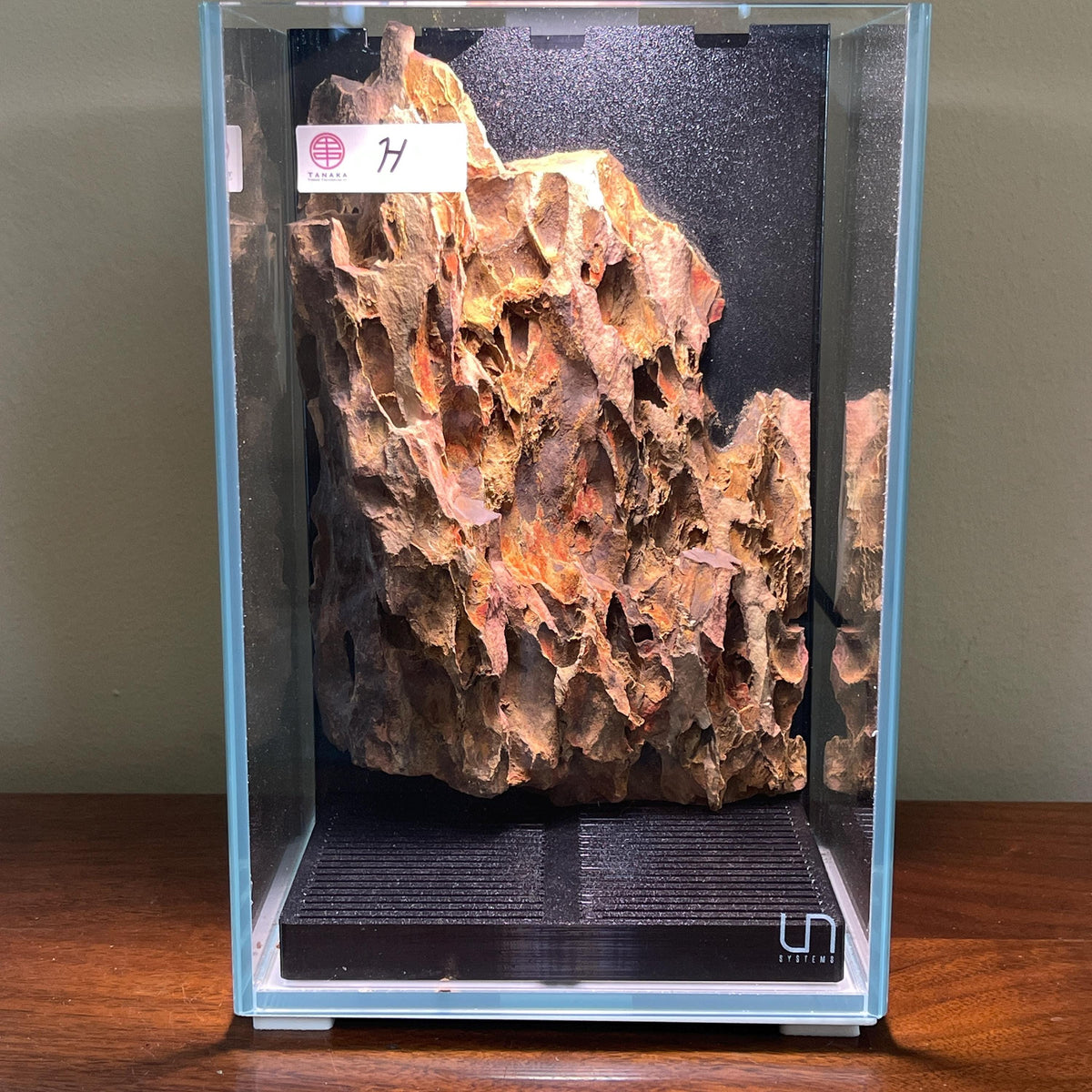 Nano Waterfall Paludarium | Live Moss Terrarium | Dragonstone | UNS 16T