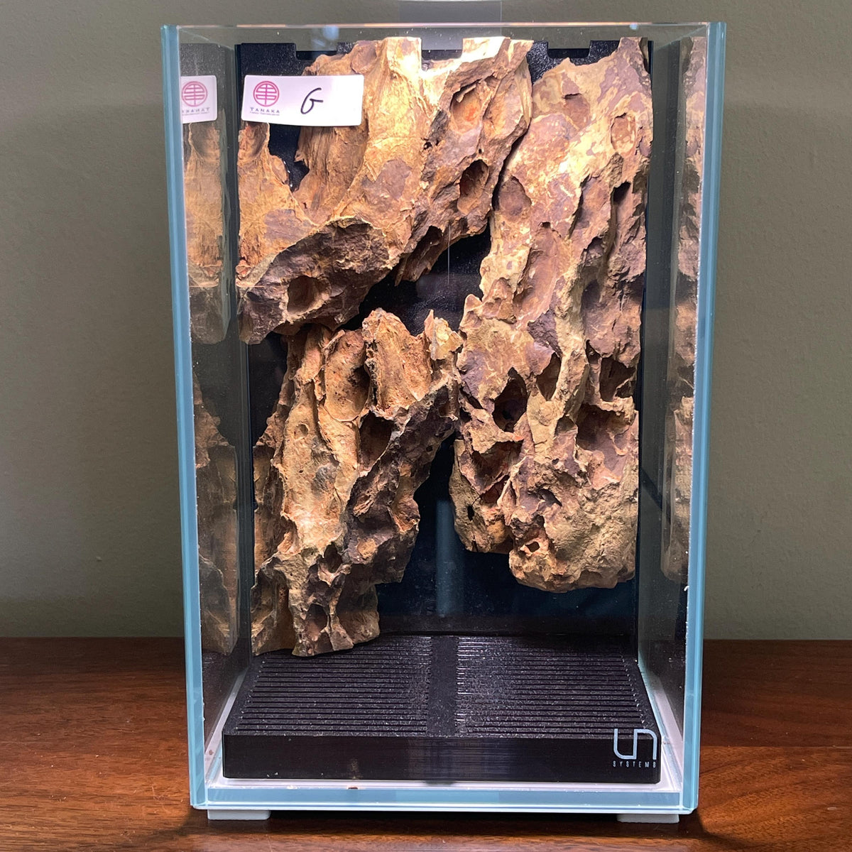 Nano Waterfall Paludarium | Live Moss Terrarium | Dragonstone | UNS 16T