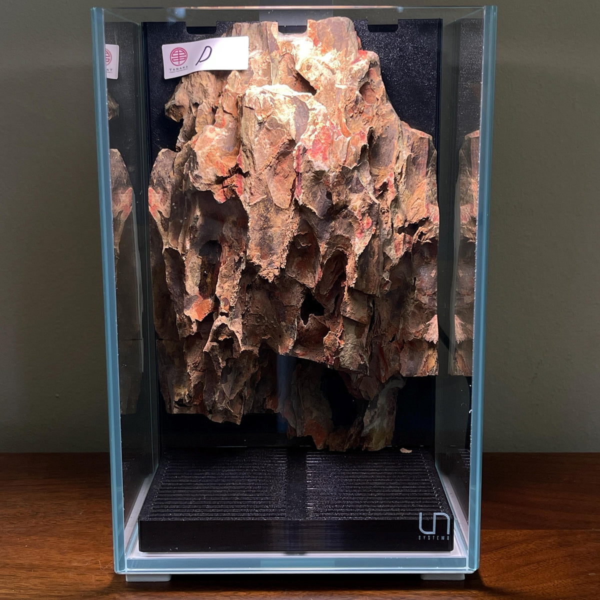 Nano Waterfall Paludarium | Live Moss Terrarium | Dragonstone | UNS 16T