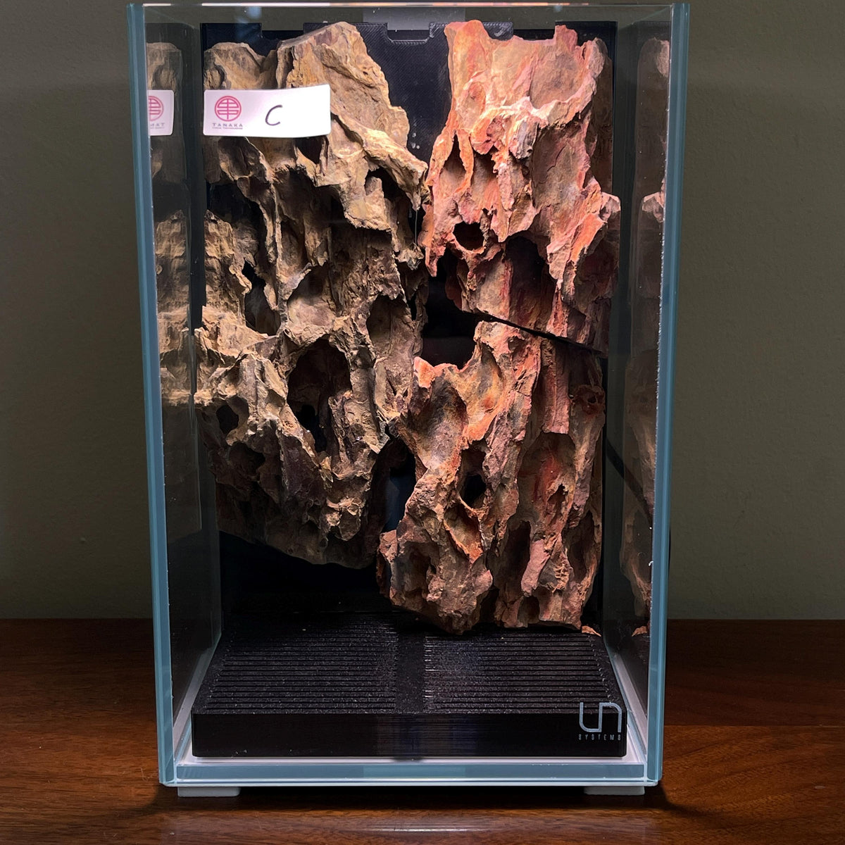 Nano Waterfall Paludarium | Live Moss Terrarium | Dragonstone | UNS 16T