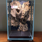 Nano Waterfall Paludarium | Live Moss Terrarium | Dragonstone | UNS 16T