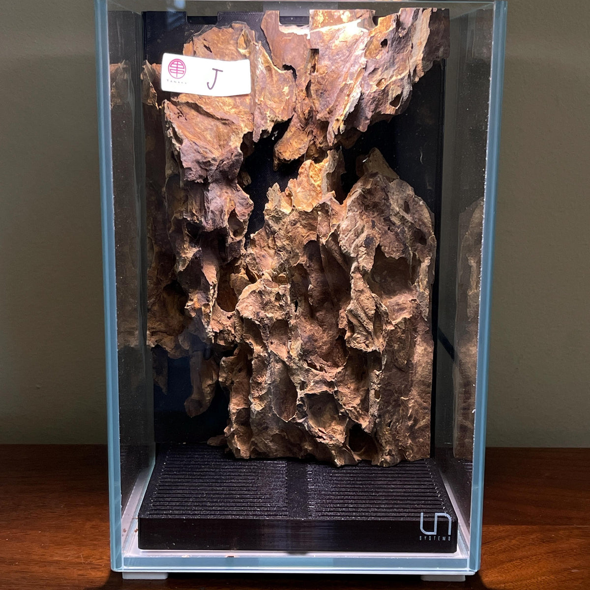 Nano Waterfall Paludarium | Live Moss Terrarium | Dragonstone | UNS 16T