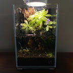 Nano Waterfall Paludarium | Live Moss Terrarium | Dragonstone | UNS 16T