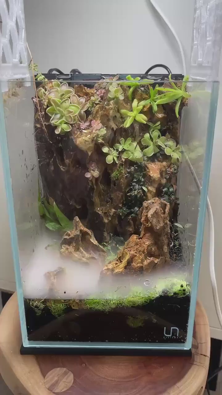 Nano Waterfall Paludarium | Live Moss Terrarium | Dragonstone | UNS 16T