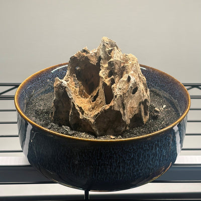 Decorative Dragonstone Rock (6-8 inches)